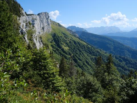 Mountains Trees Nature