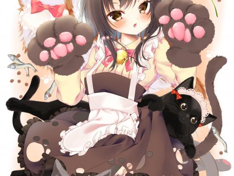 Neko Girl Ears Cats Cute Anime