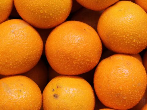 Oranges Fruits Citrus Drops Orange