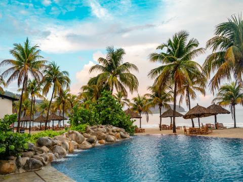 Palms Trees Pool Beach Sea Summer