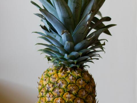 Pineapple Fruit Leaves Ripe