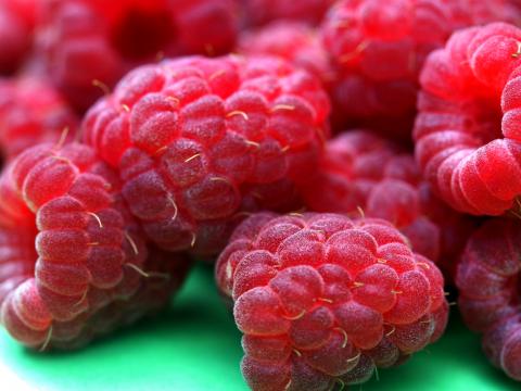 Raspberries Berries Ripe Macro Red