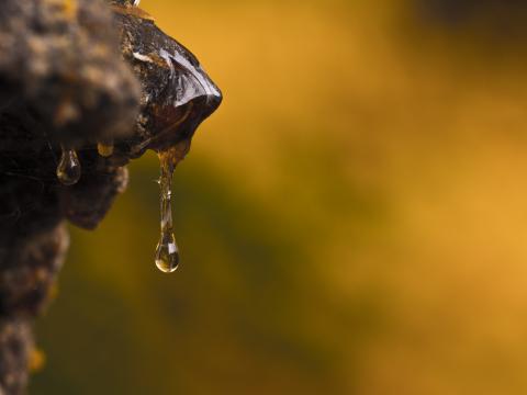 Resin Drops Macro