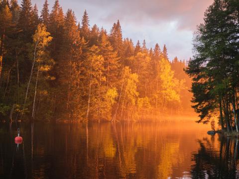 River Forest Trees Landscape Sunset