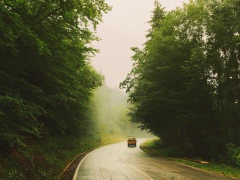 Road Car Travel Forest Fog Nature