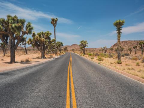 Road Desert Mountains Cacti Landscape