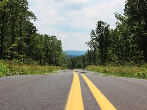 Road Marking Stripes Trees Forest Landscape