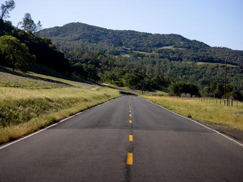 Road Trees Hill Nature Landscape