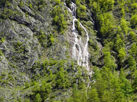 Rock Trees Landscape Nature