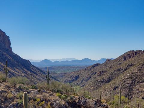 Rocks Cacti Nature Landscape