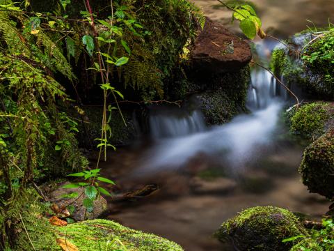 Rocks Moss Waterfall Stream Nature