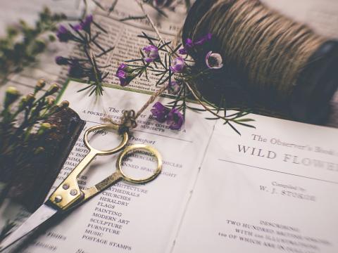 Scissors Flowers Floristry Aesthetics