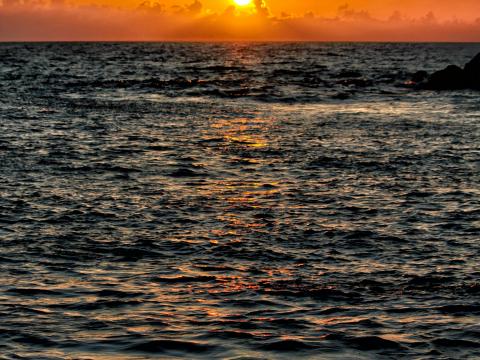 Sea Waves Water Horizon Sun Sunset