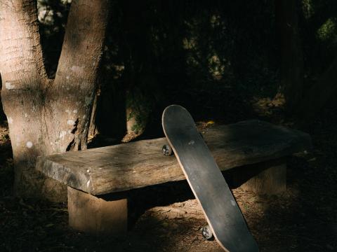 Skateboard Skate Bench Shadow
