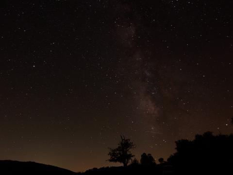 Starry-sky Stars Night Trees Silhouettes Dark