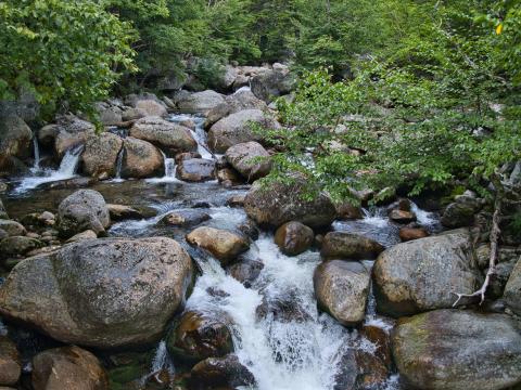 Stones River Water Landscape Nature