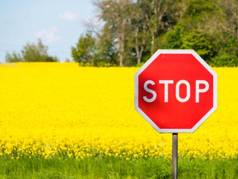 Stop Sign Word Field Flowers