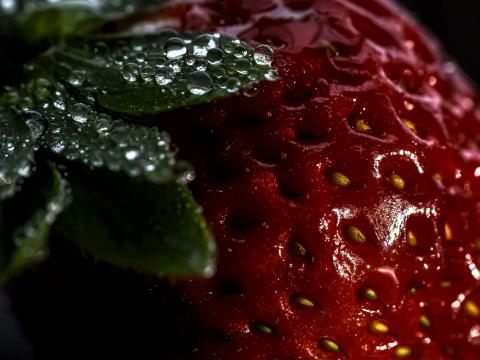 Strawberry Berry Drops Macro