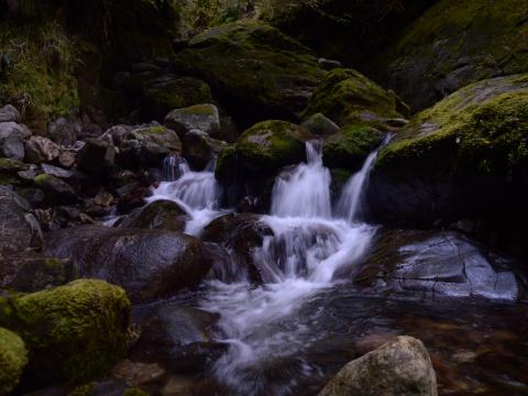Stream Stones Waterfall Moss Nature