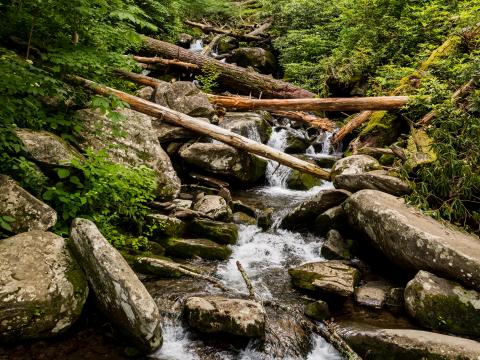 Stream Water Logs Stones Nature