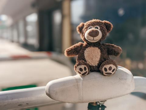 Teddy-bear Toy Cute