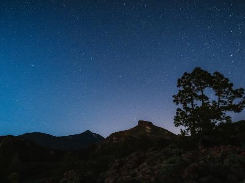 Tree Rocks Starry-sky Stars Night Dark