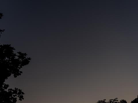 Tree Silhouette Sky Night Dark