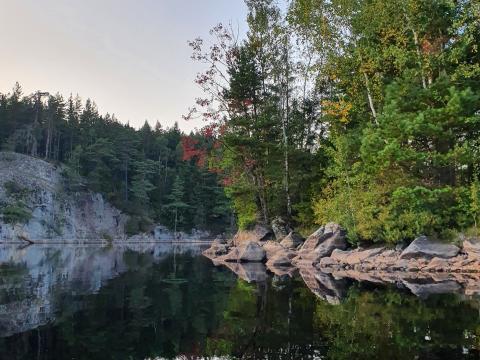 Trees Coast Lake Reflection Nature