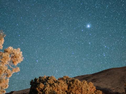 Trees Hill Stars Starry-sky Night