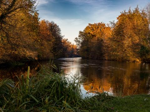 Trees Lake Reflection Autumn Landscape