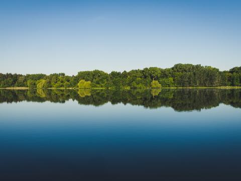 Trees Reflection Lake Water Landscape