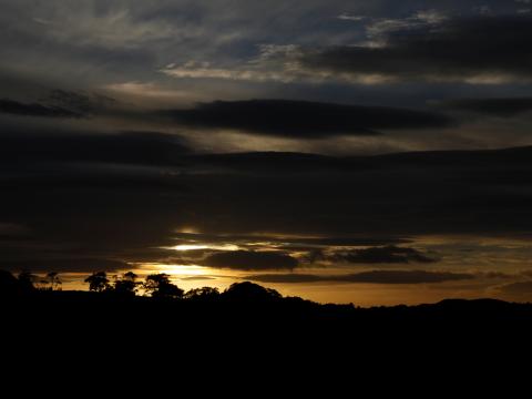 Trees Silhouettes Clouds Sky Twilight Dark