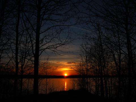 Trees Silhouettes Lake Sun Sunset Dark