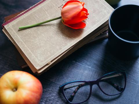 Tulip Flower Books Apple Glasses Still-life Aesthetics