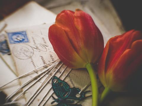 Tulips Flowers Letters Envelopes Aesthetics