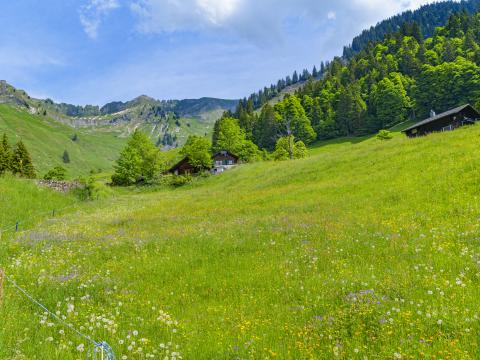 Valley Houses Trees Mountains Nature Landscape