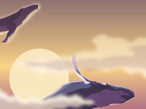 Whales Sea Sun Art